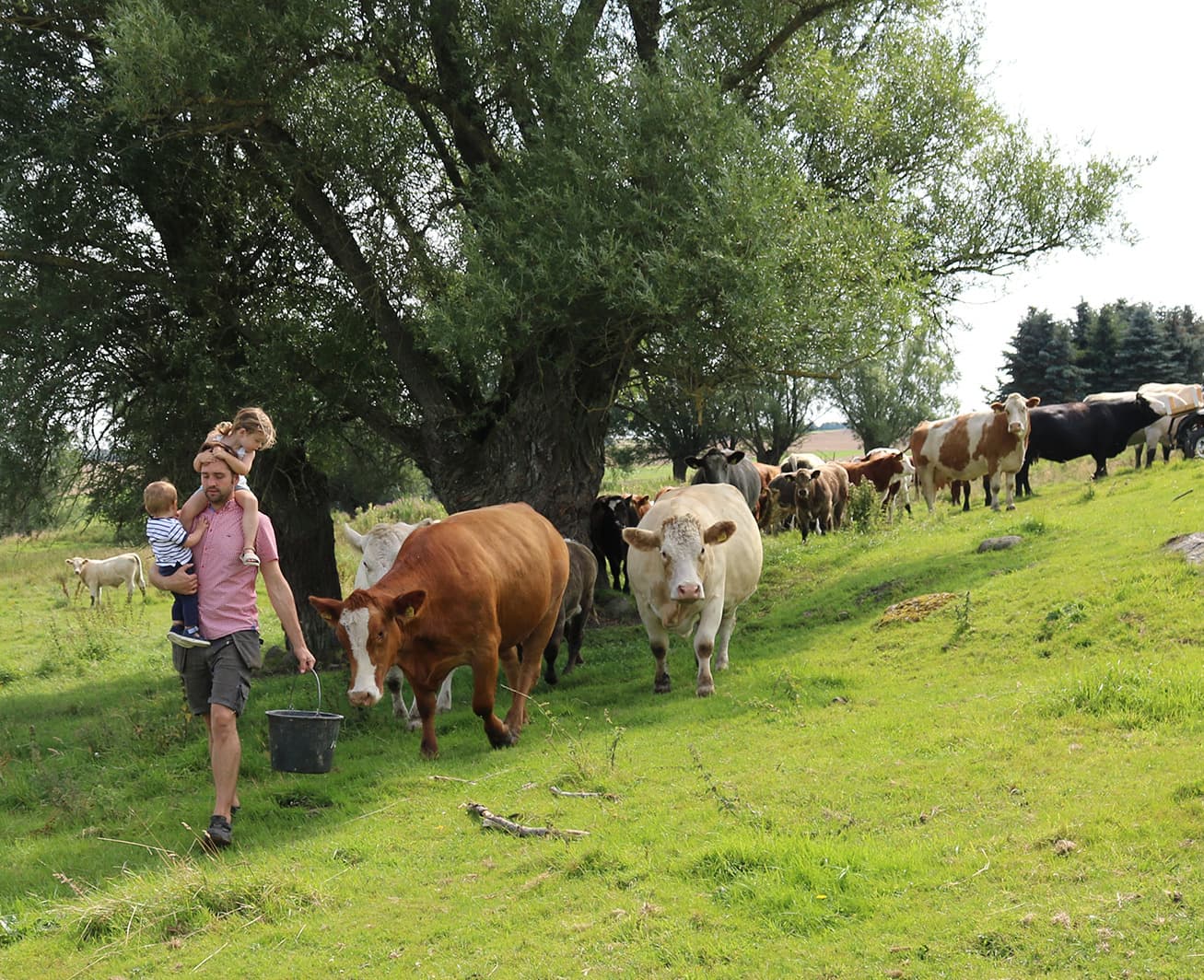 Färska matvaror - Direkt från svenska bönder