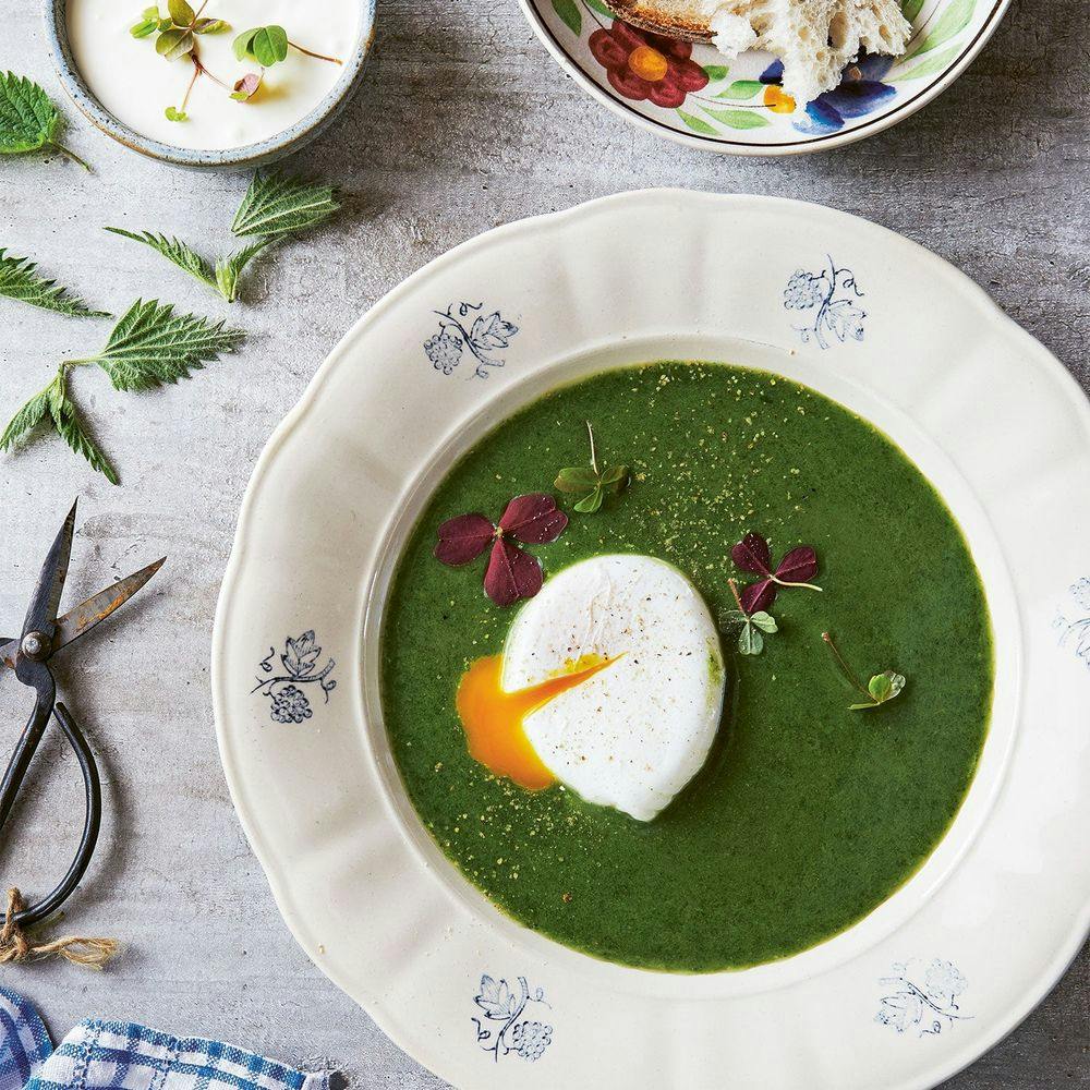 Skön grön nässelsoppa med pocherat ägg och vispad citron-créme fraiche