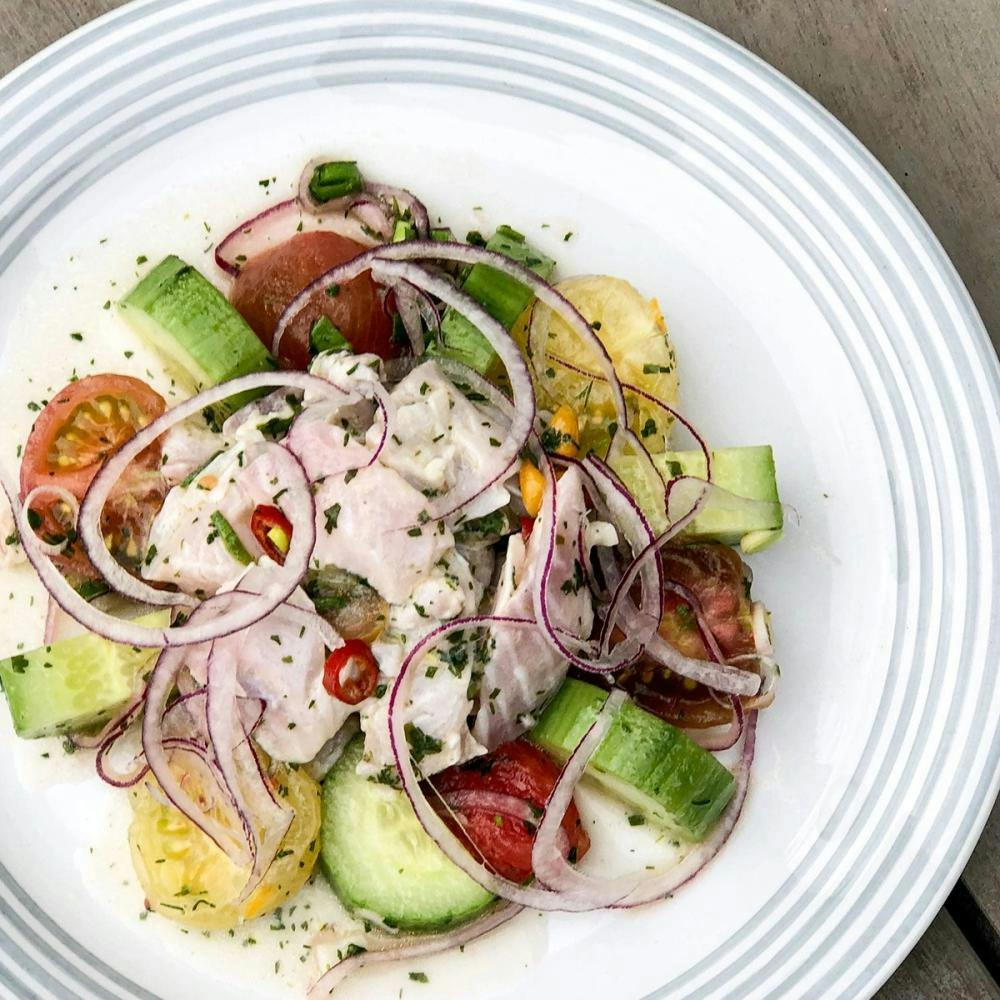 Ceviche på rödstrimma med tomat och gurka