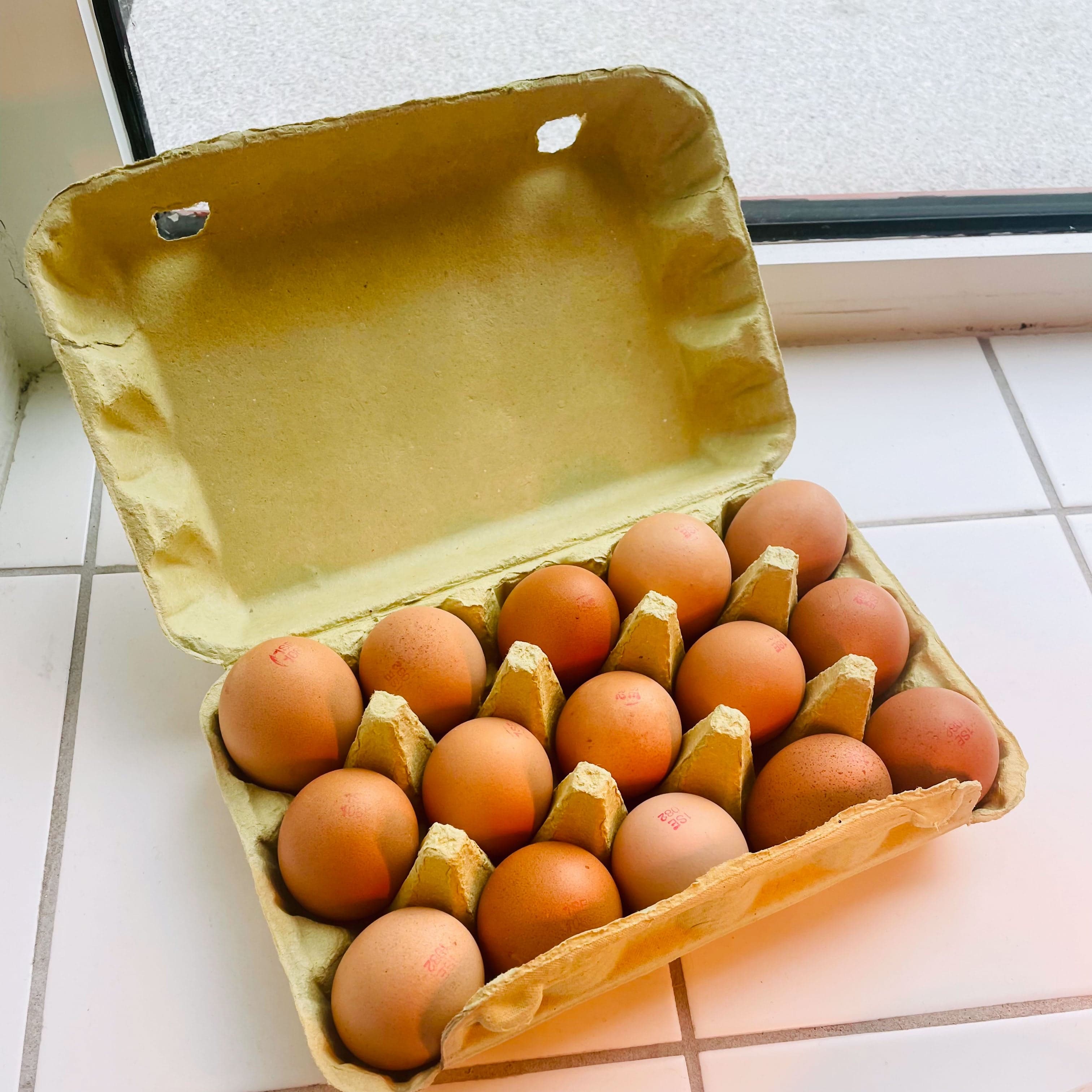 Grönbetesägg 15-pack