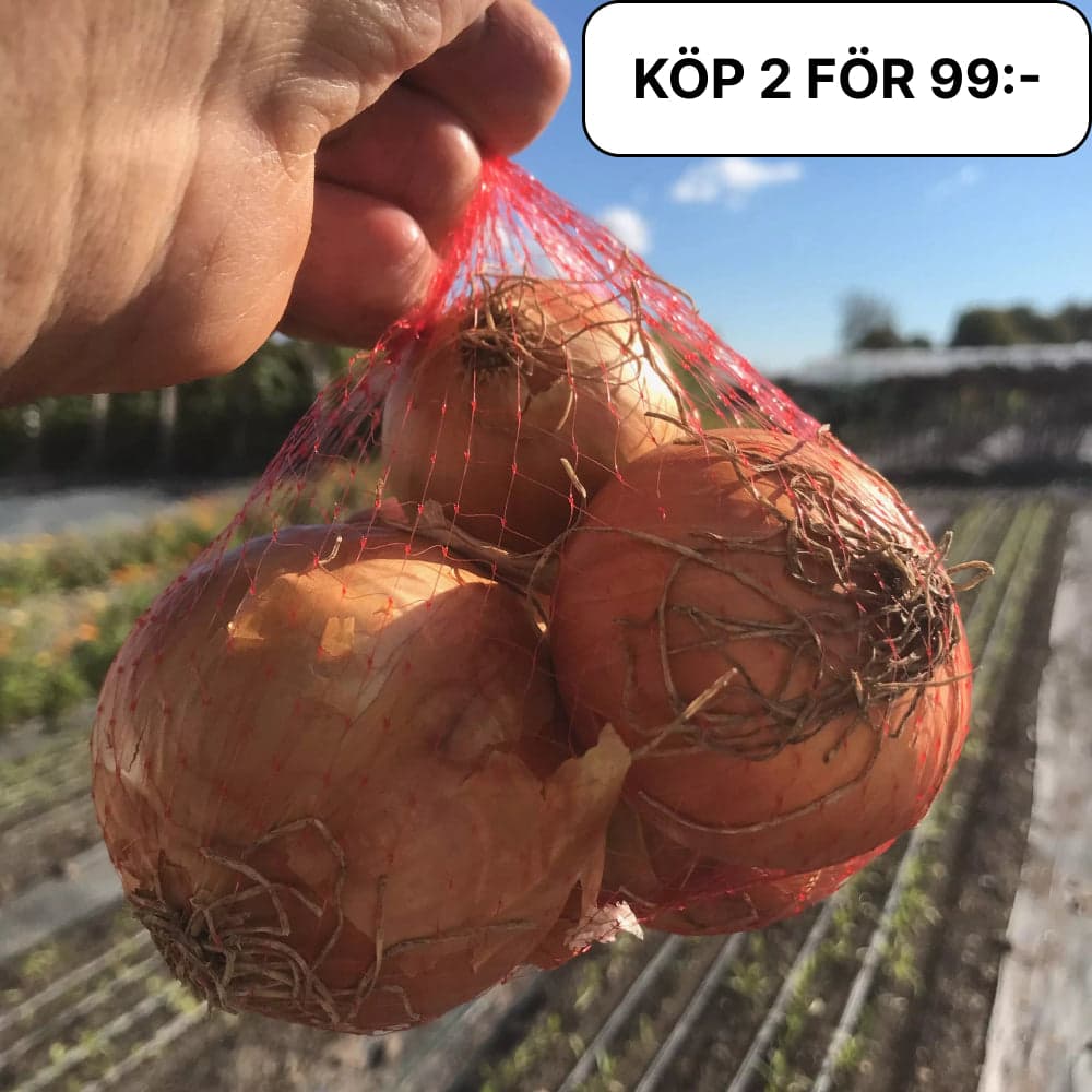 Gul lök KRAV 1kg. 2 för 99kr