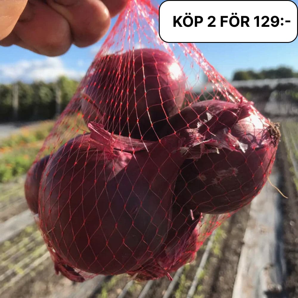 Rödlök KRAV 1kg. 2 för 129kr