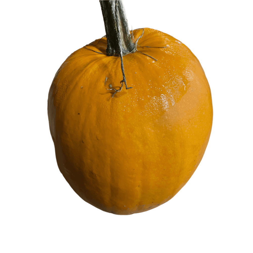 Halloweenpumpa KRAV - Hallowen-pumpa1_1