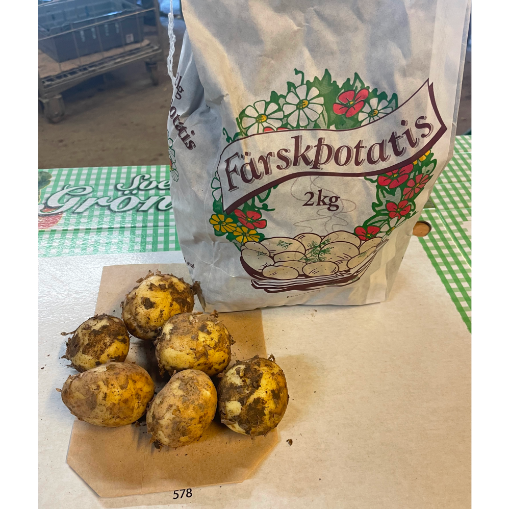 Färskpotatis 2kg - KRAV - front-2024-06-24T074154.783