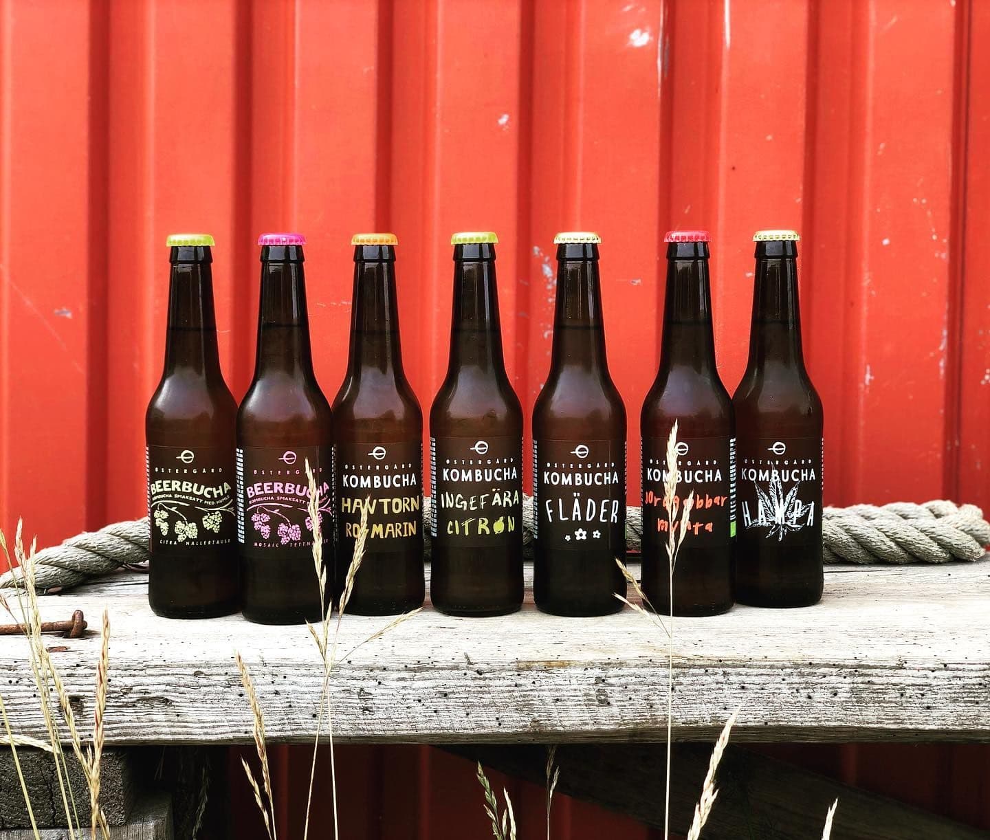 Kombucha flaskor vid en röd vägg