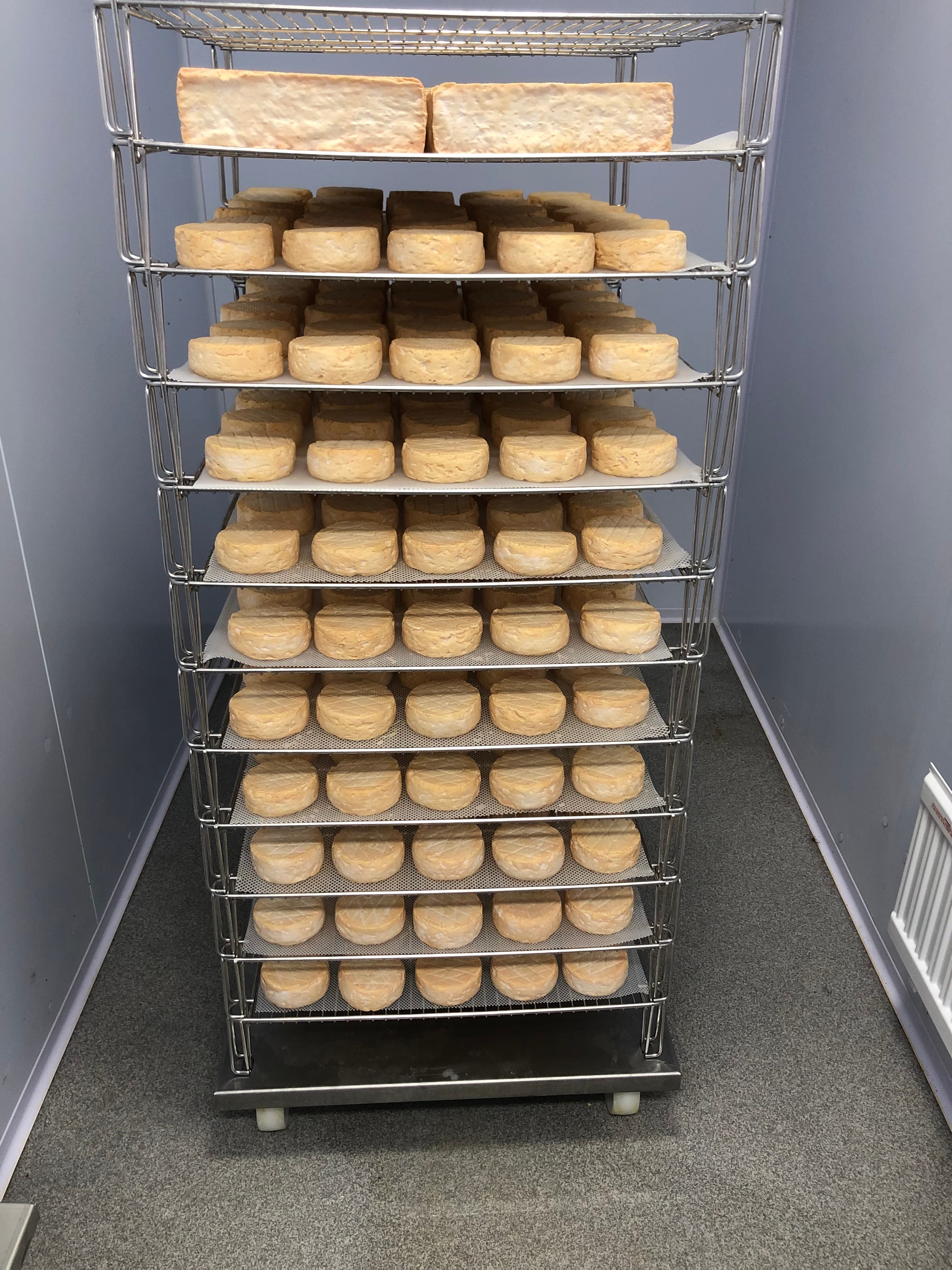 Ostar i lagringsrum på Kungsbacka ysteri