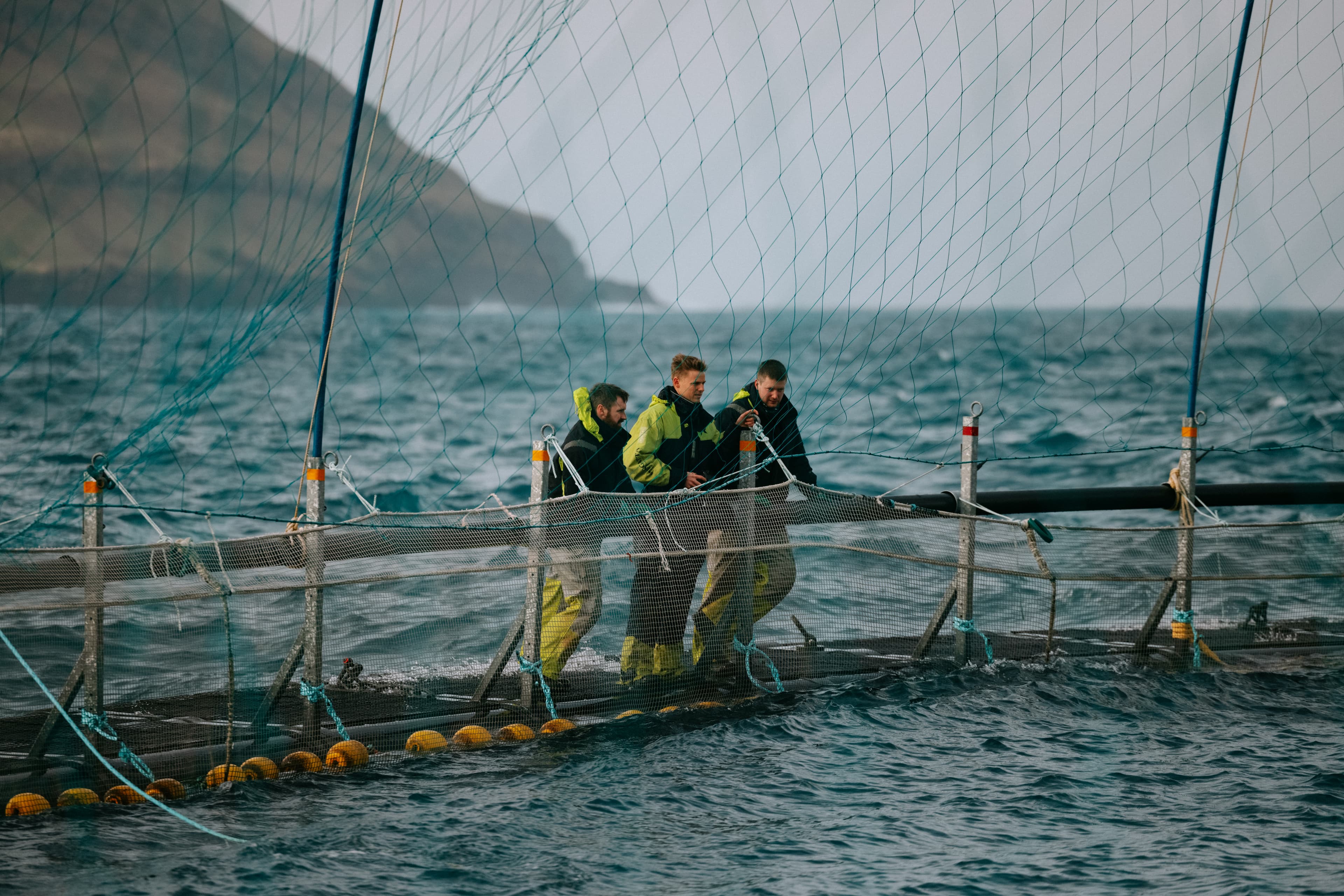 Hiddenfjord fiskare i natur, lax av högsta kvalitet, antibiotika fri, fri från hormoner,