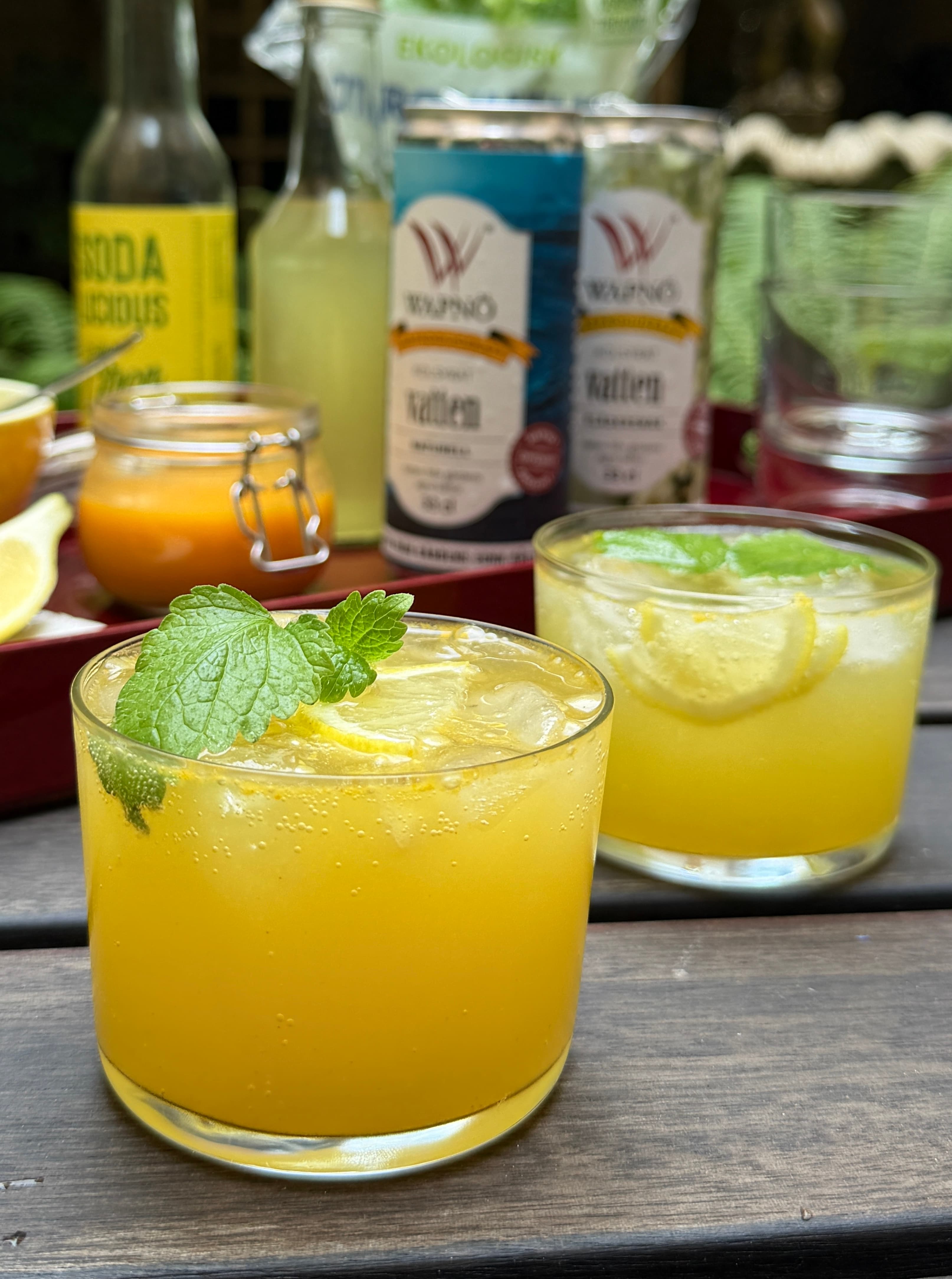 Havtorn & Fläder Spritz
