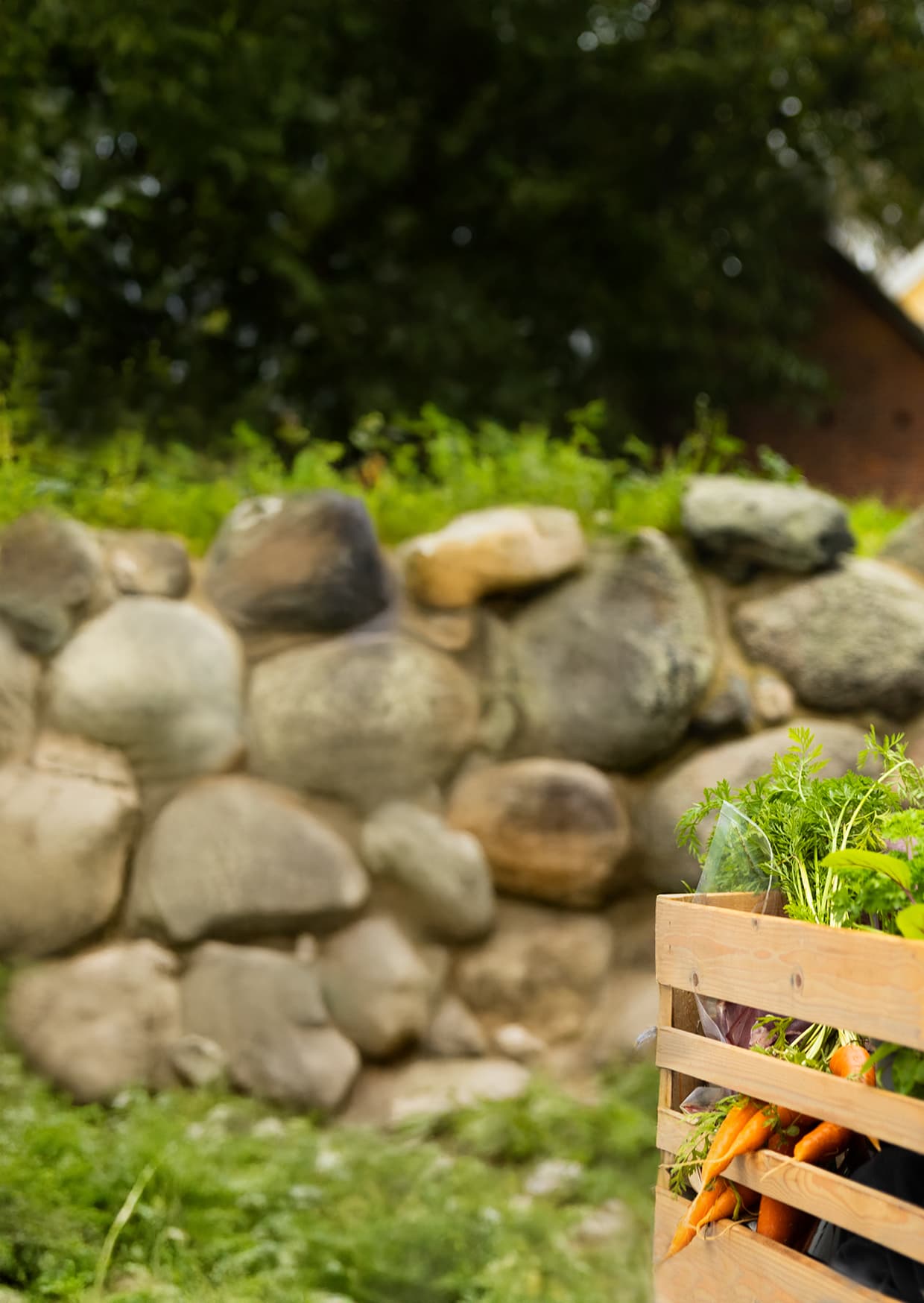 Matmomsen halveras 1 april – men blir din mat billigare?