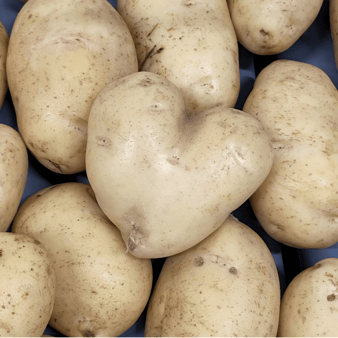 Potatis formad som ett hjärta