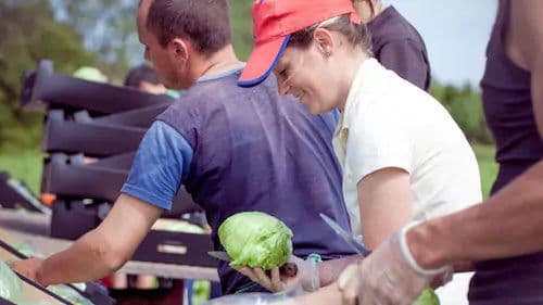 Bjud Grönsaker bild 2