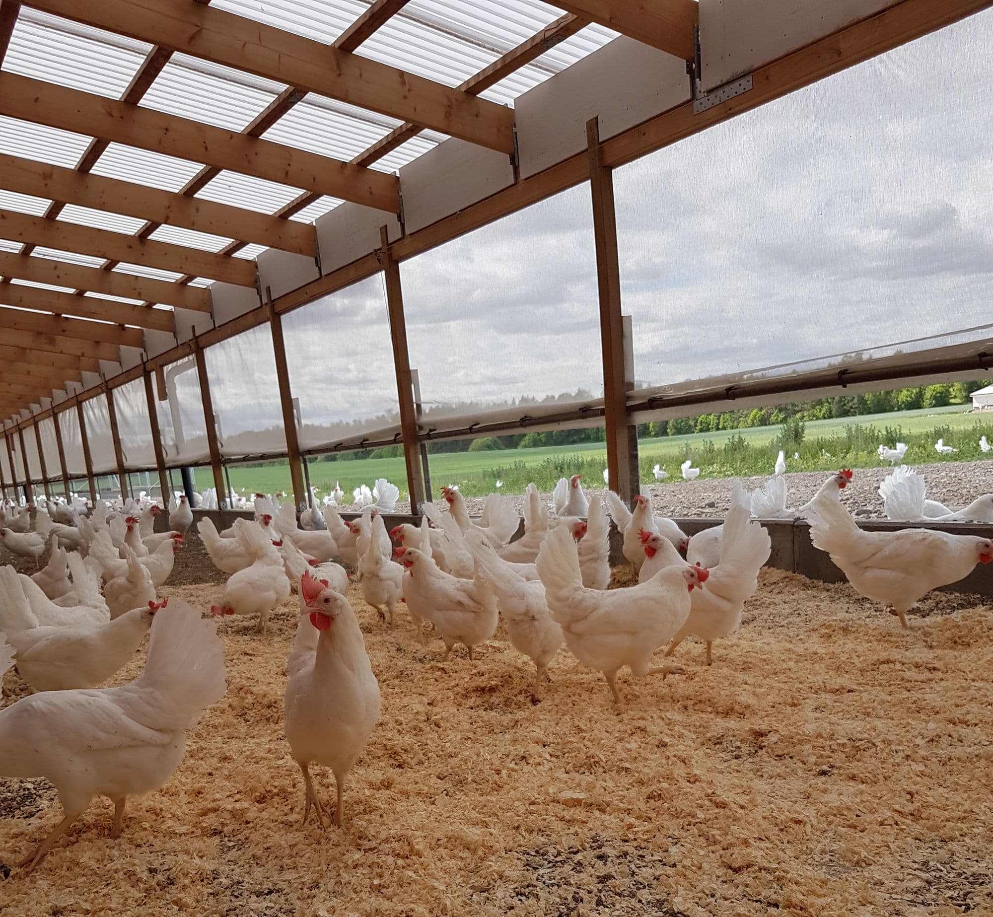 Direkt från bonden bild 2