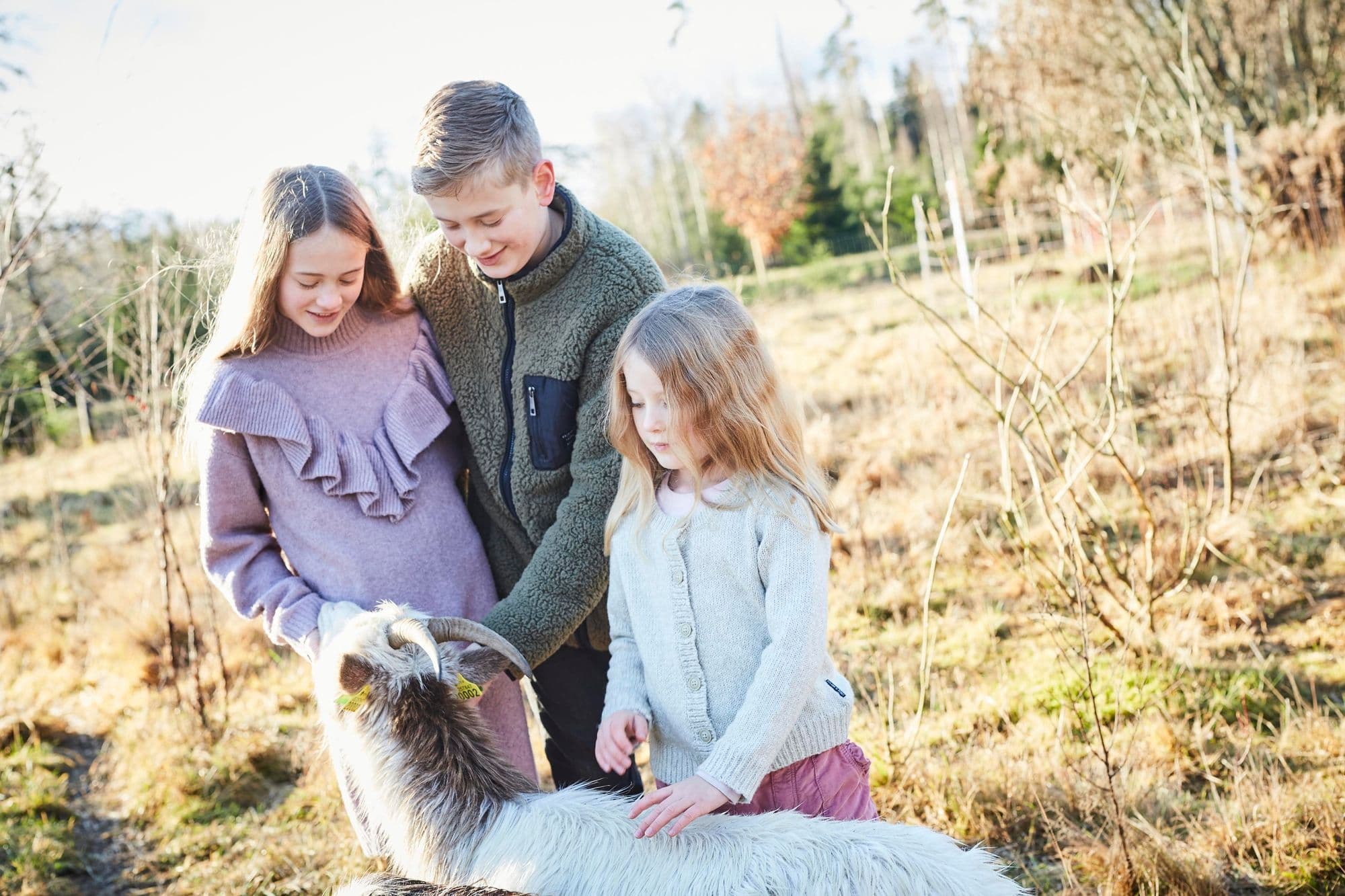 Barnen klappar en get på ängen