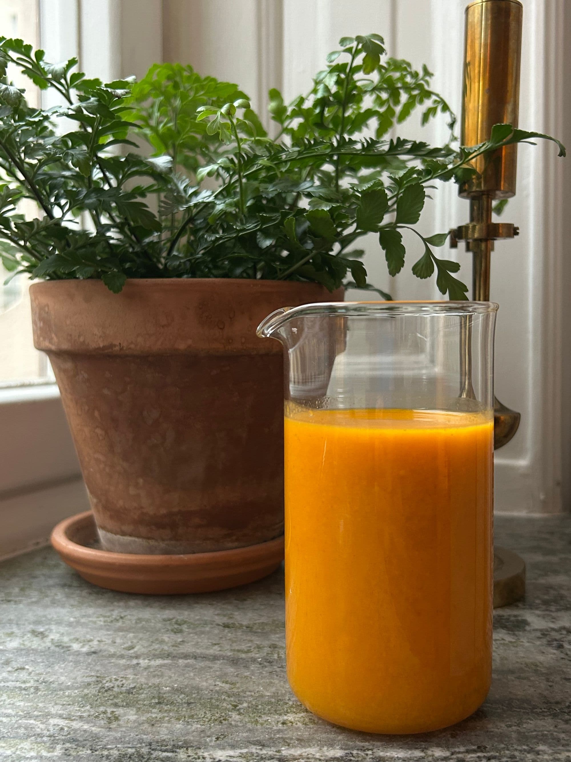 Havtornsjuice, grön växt, energi och näring