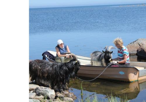 Orranäs Gårdsmejeri bild 3