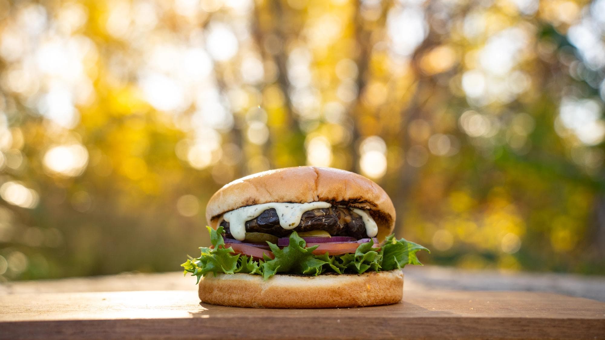 Växtbaserad burgare