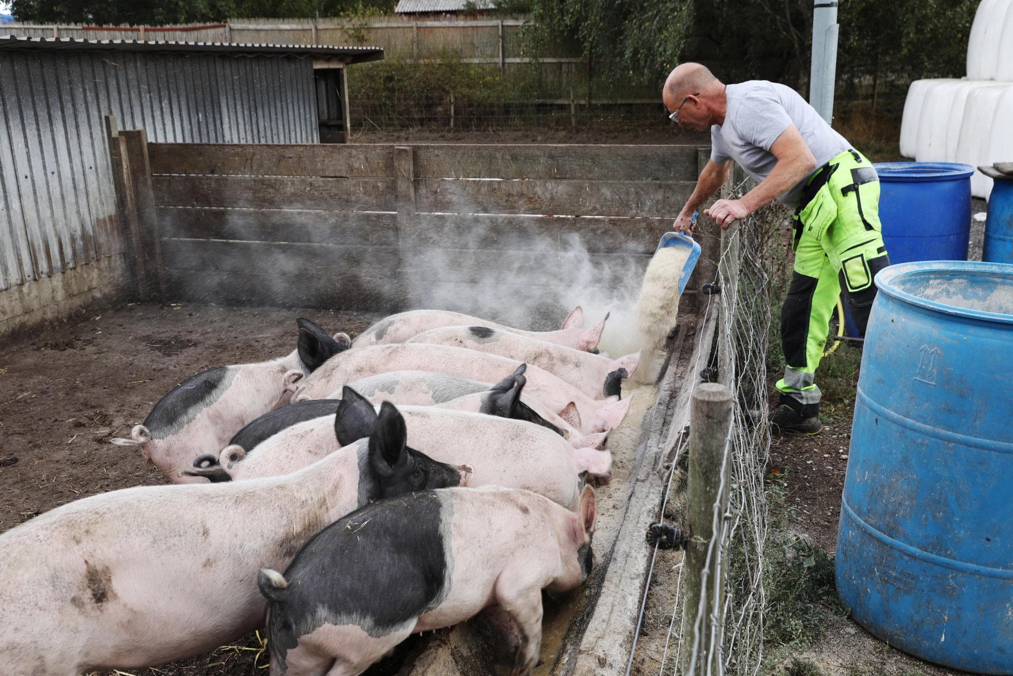 sannakulla-mata-djur