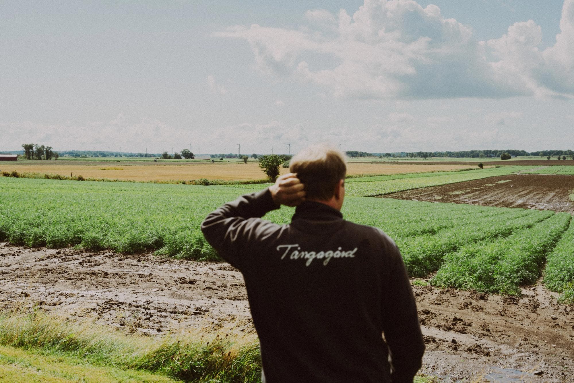 Man står och kliar sig i nacken och tittar ut över ett fält