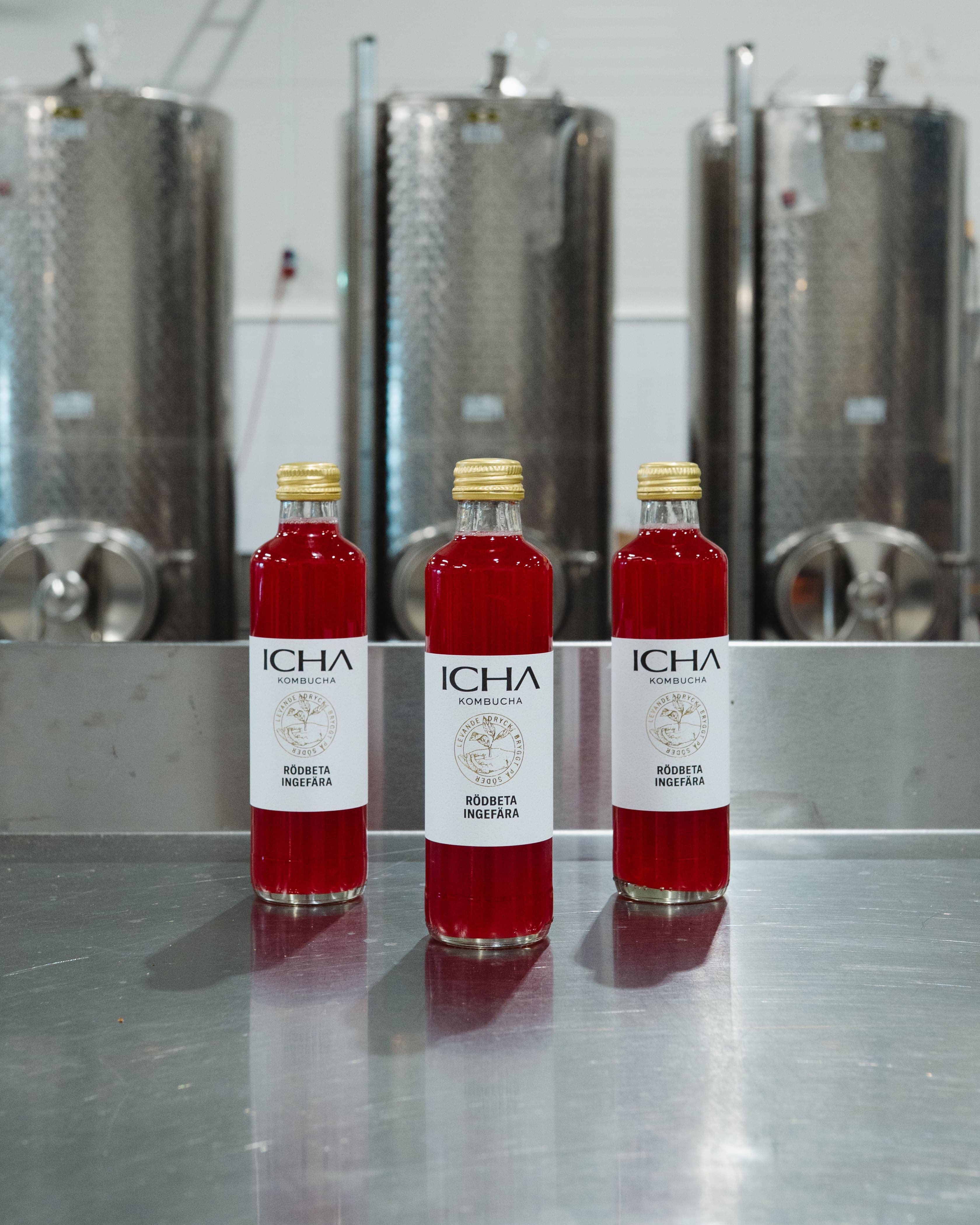Rödbeta & Ingefära Kombucha (EKO)
