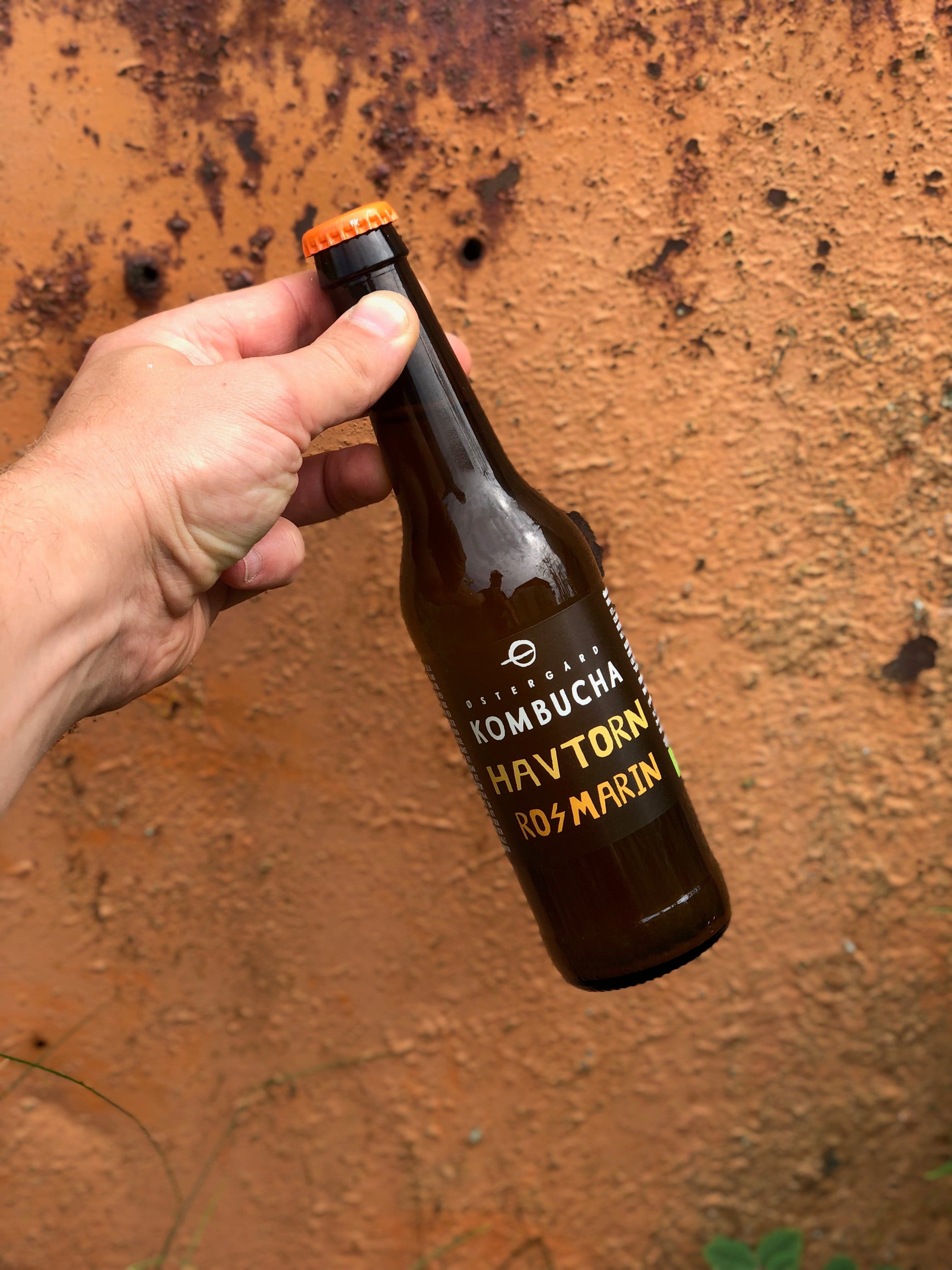 Kombucha, Havtorn & Rosmarin EKO 33cl