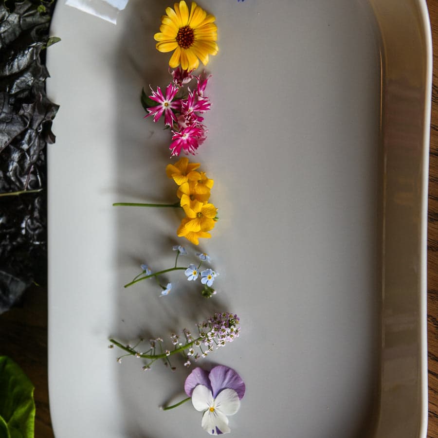 Ätbara blommor