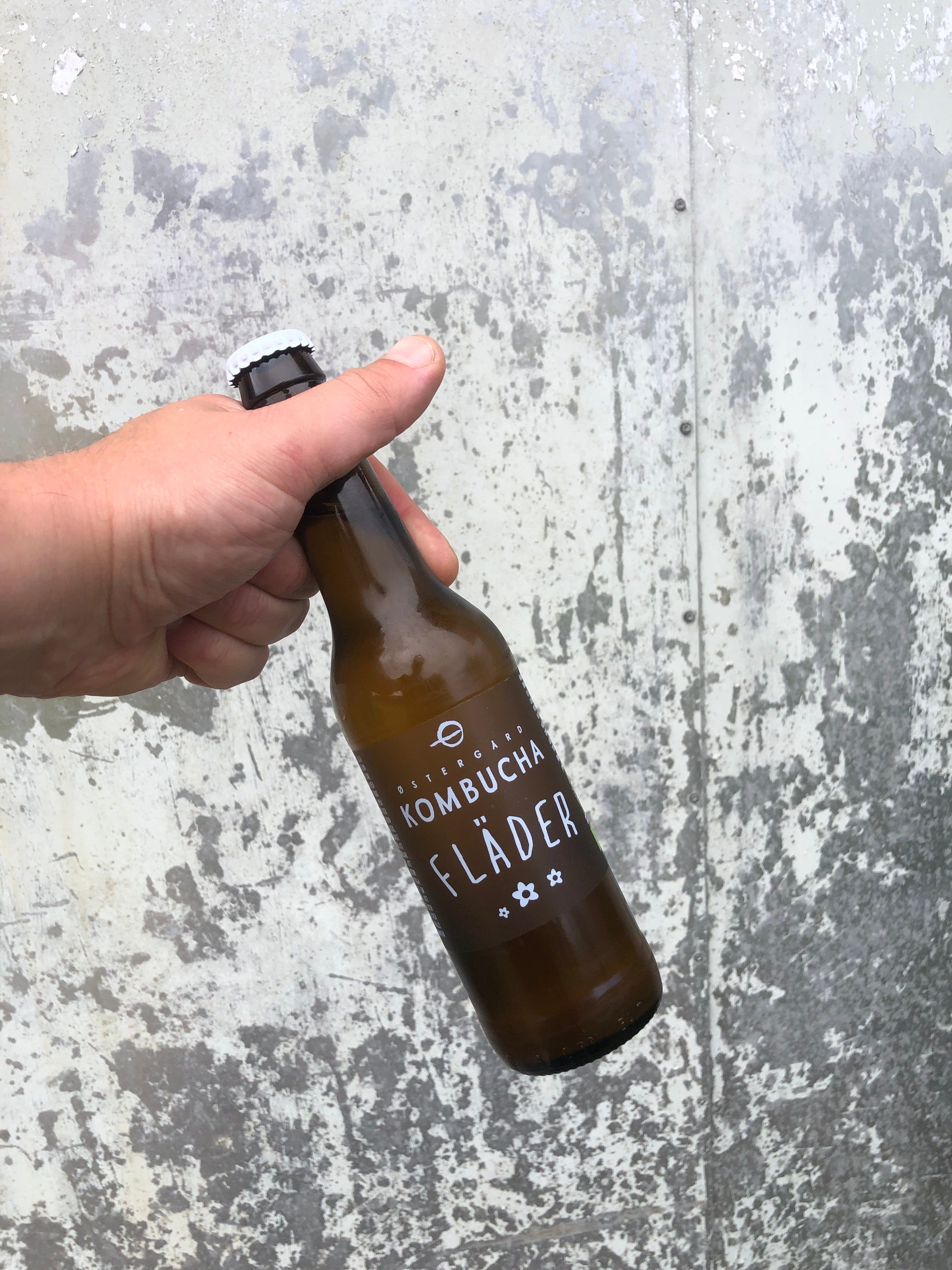Kombucha, Fläder EKO 33cl
