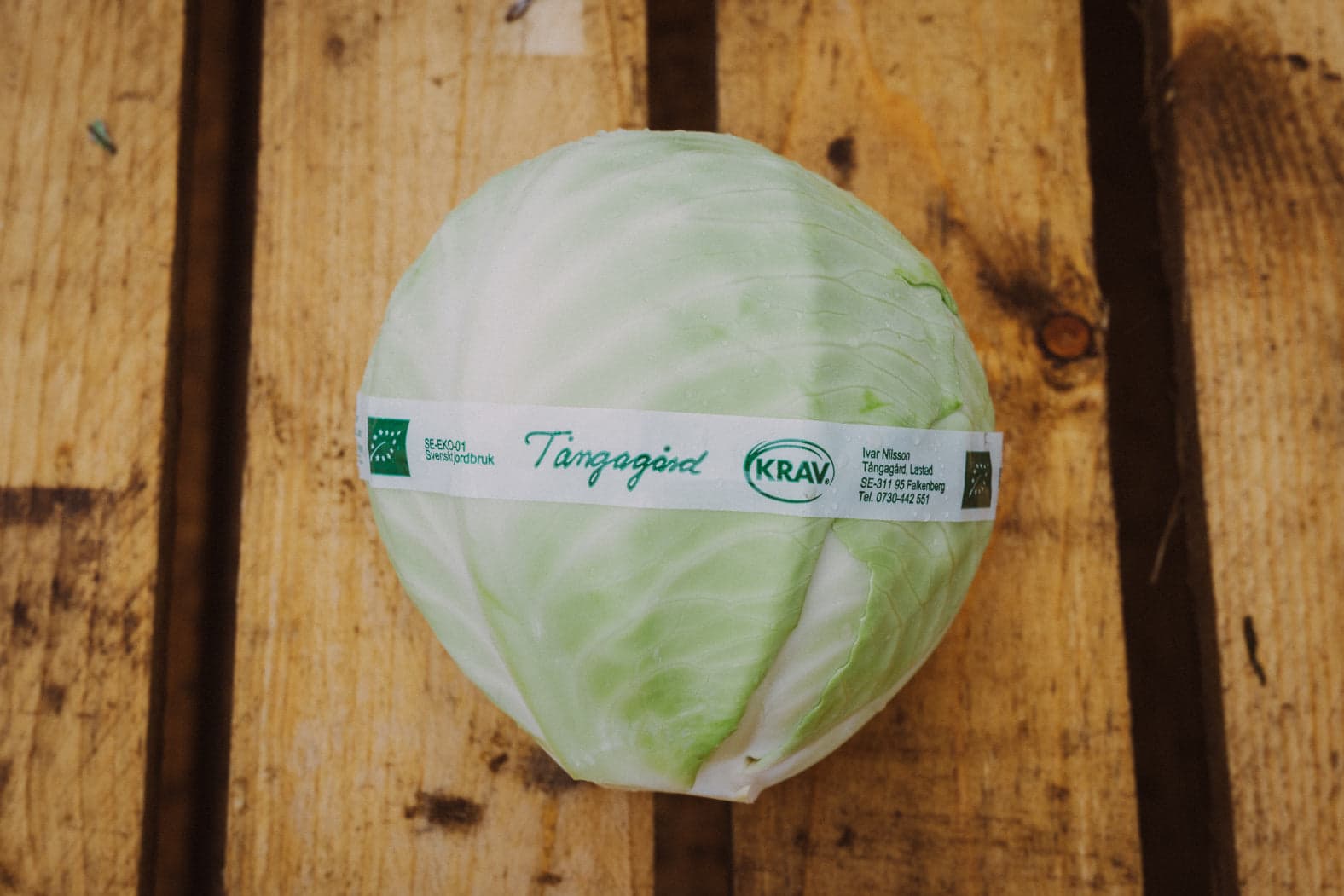 Vitkål KRAV ca 1 kg