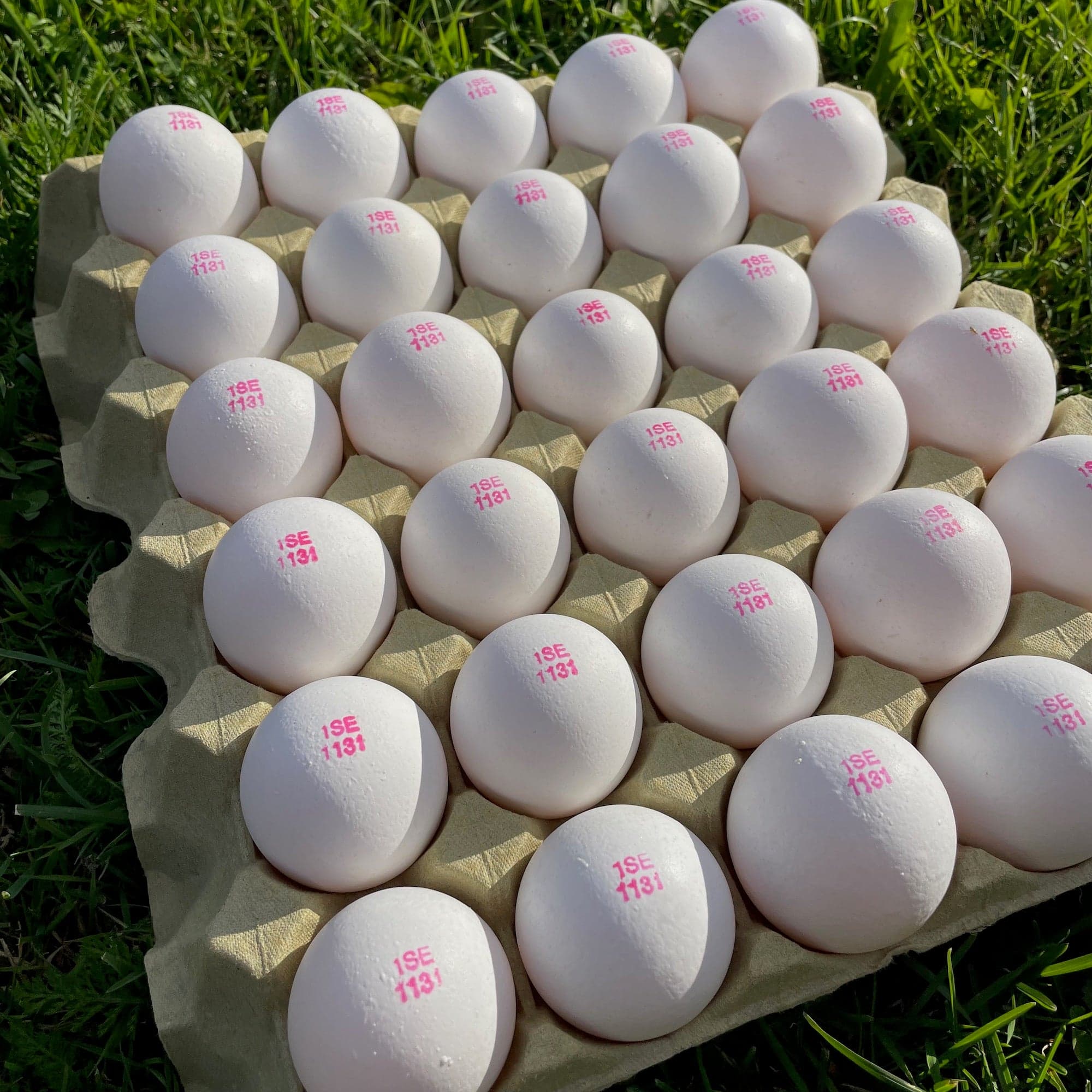 Grönbetesägg 30-pack M