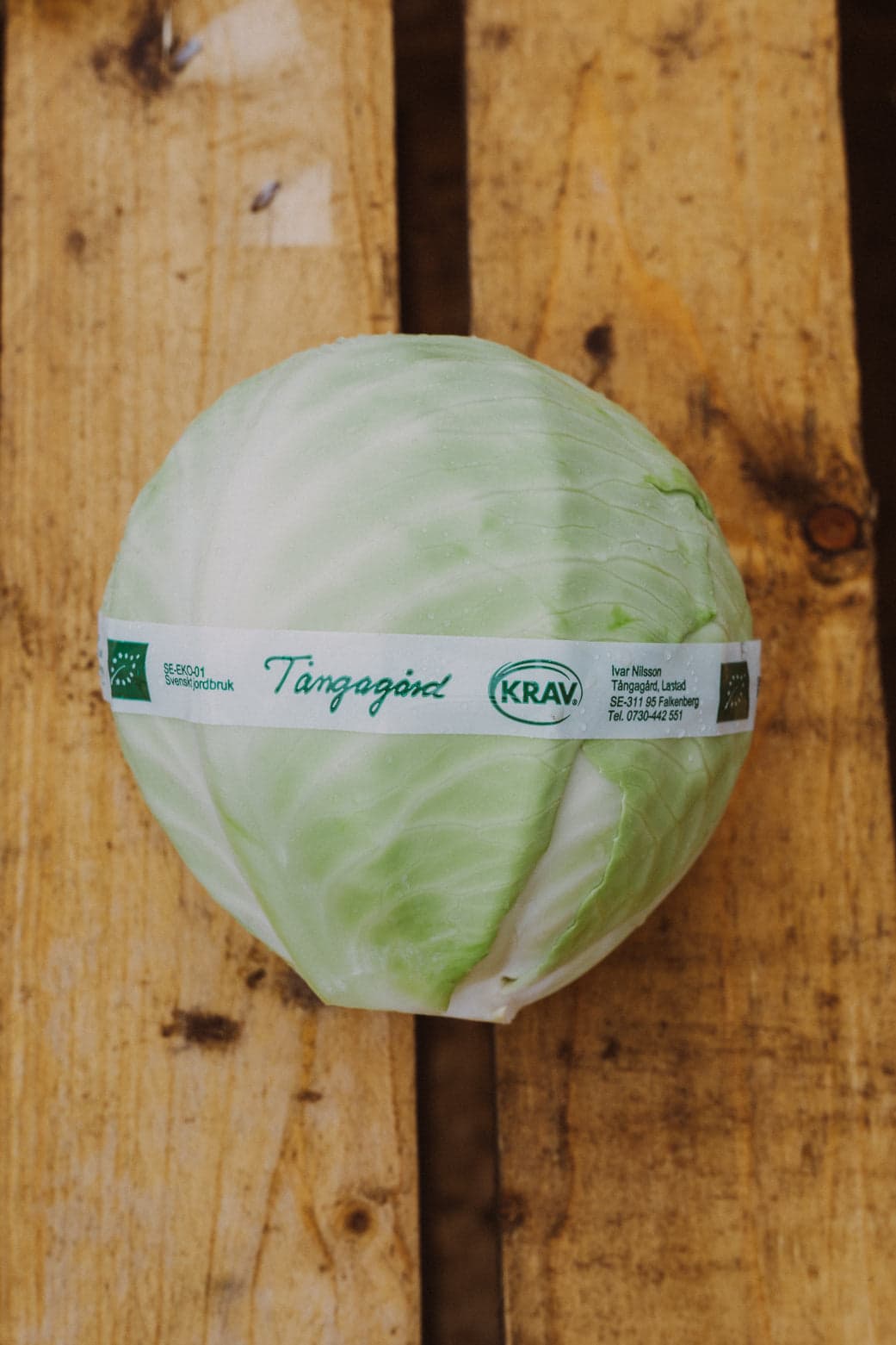 Vitkål KRAV ca 1 kg