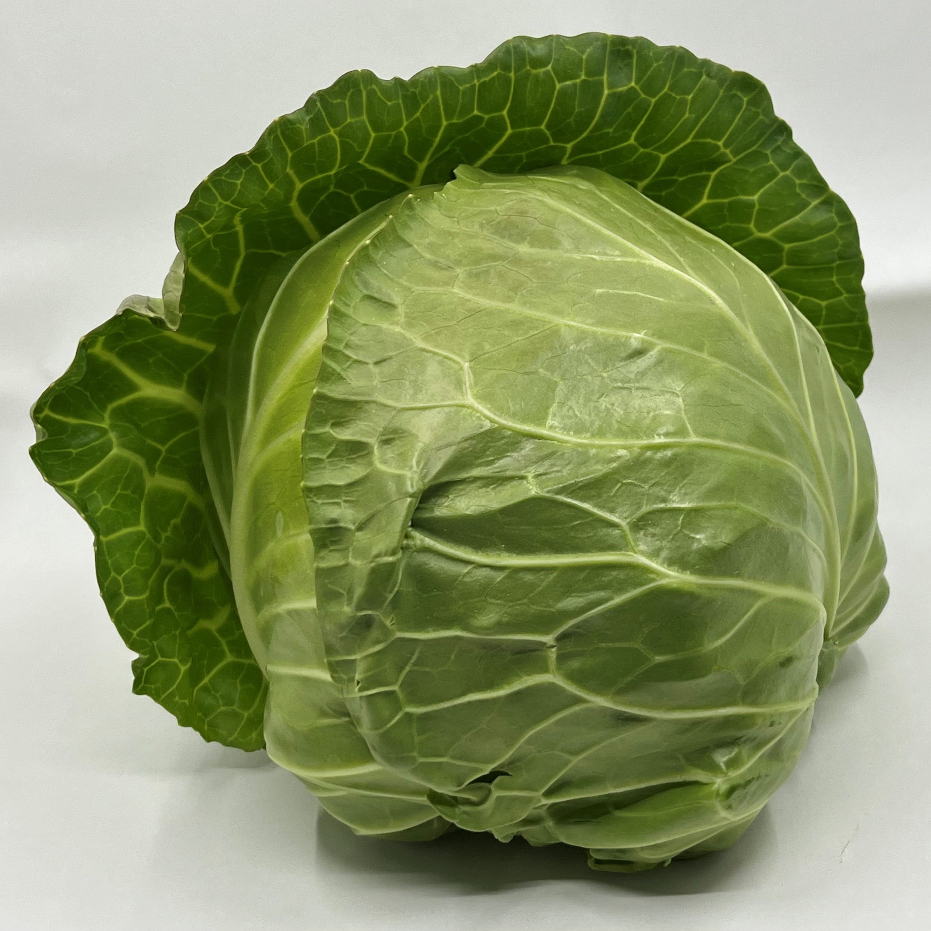 Vitkål
