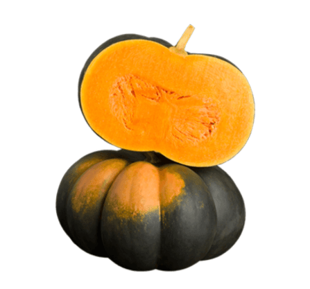 Pumpa Muscat - KRAV ca 5kg