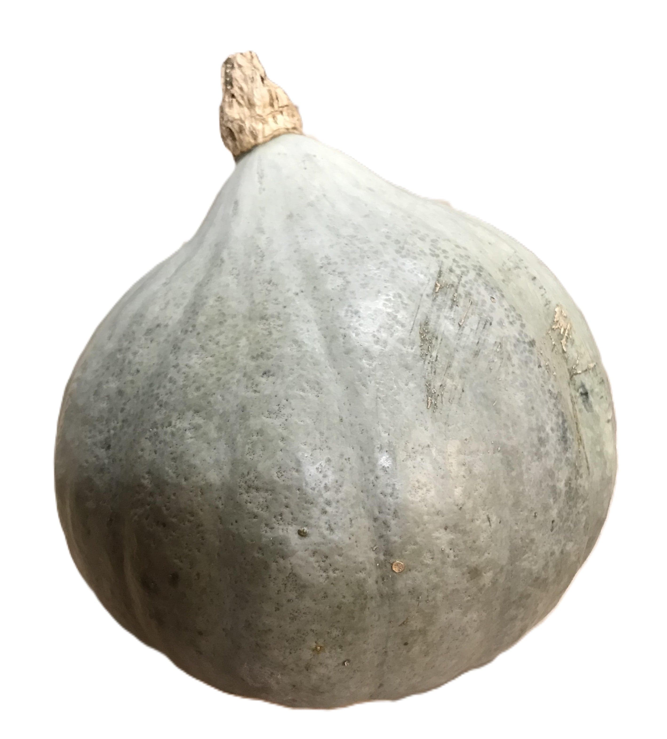 Pumpa - Hokkaido Grön KRAV ca 1 kg