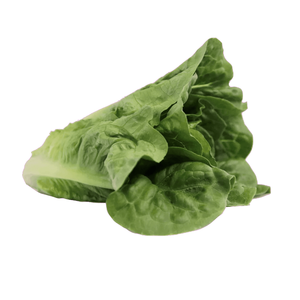 Romansallad