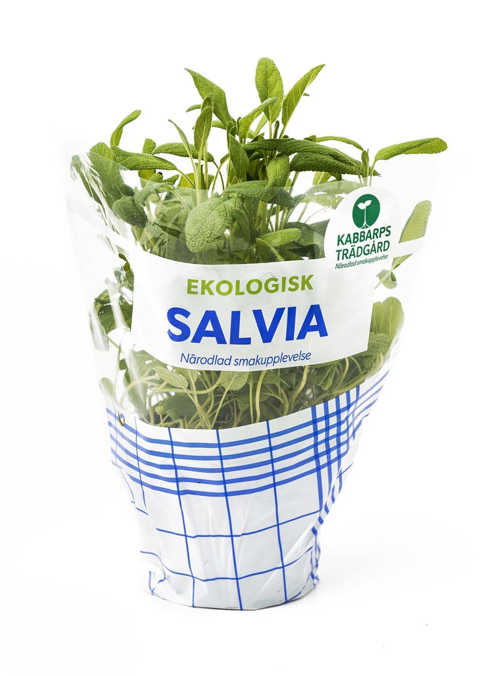 Salvia EKO