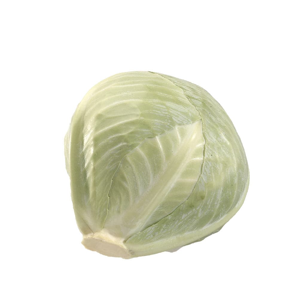 Vitkål