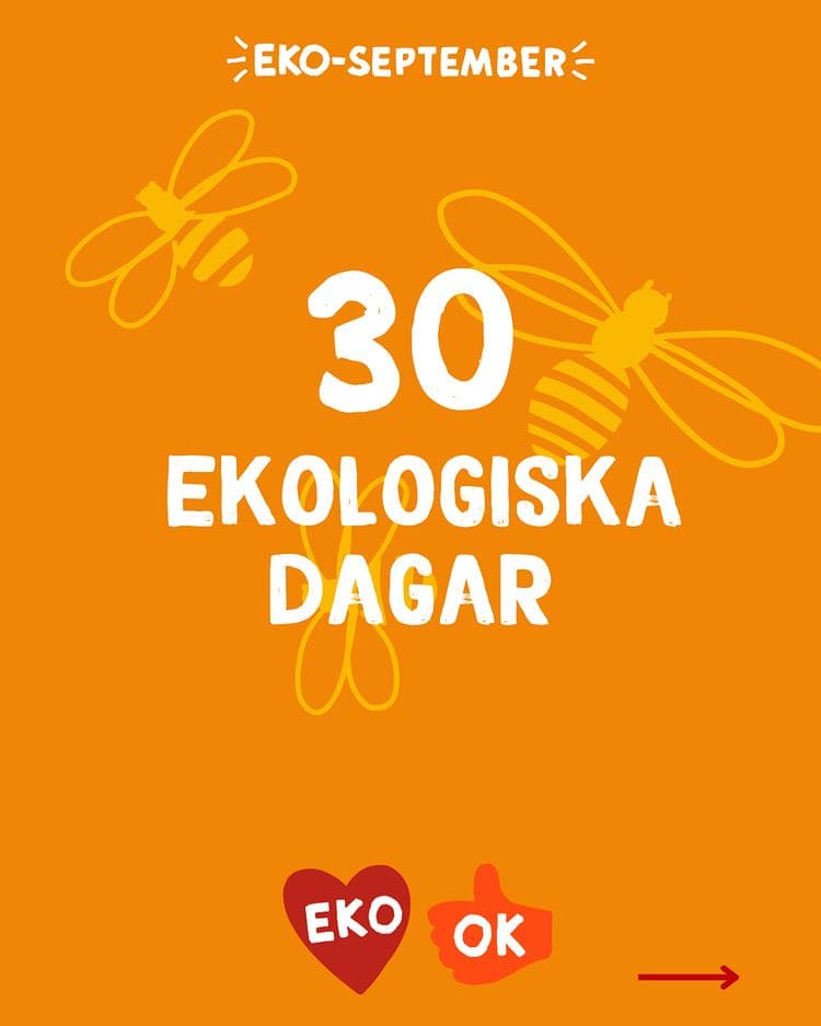 eko-september