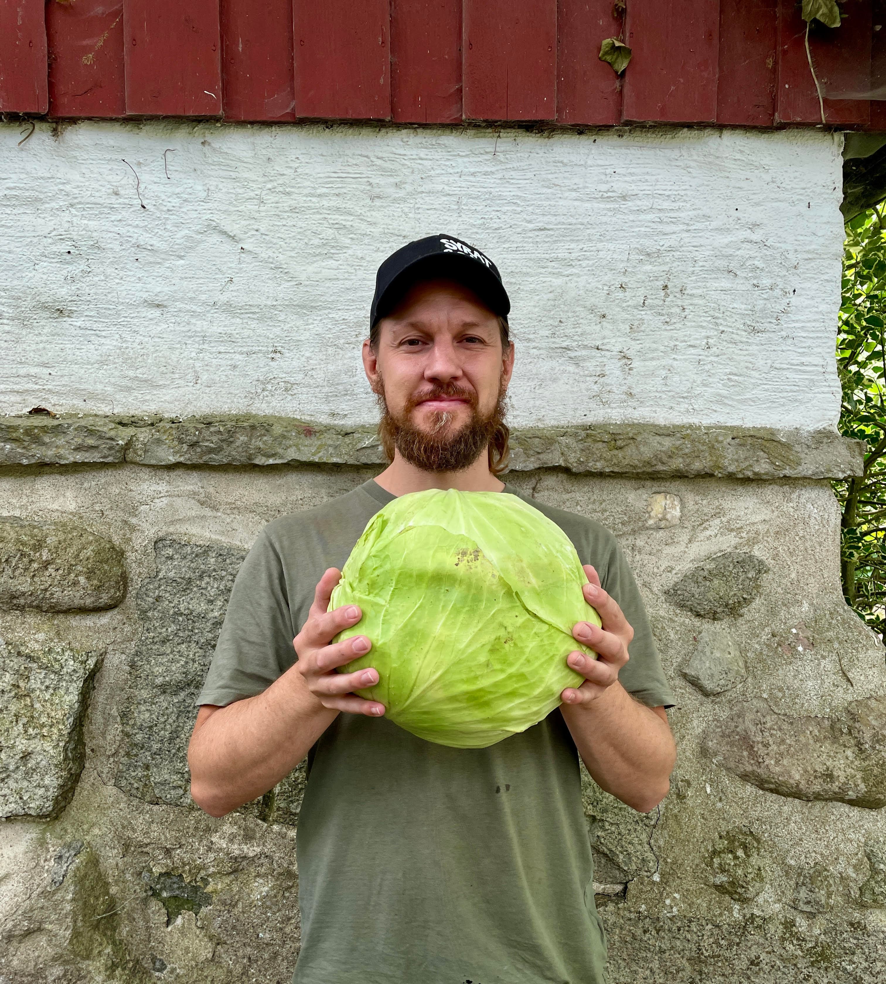 håller ett vitkålshuvud syrat och sånt