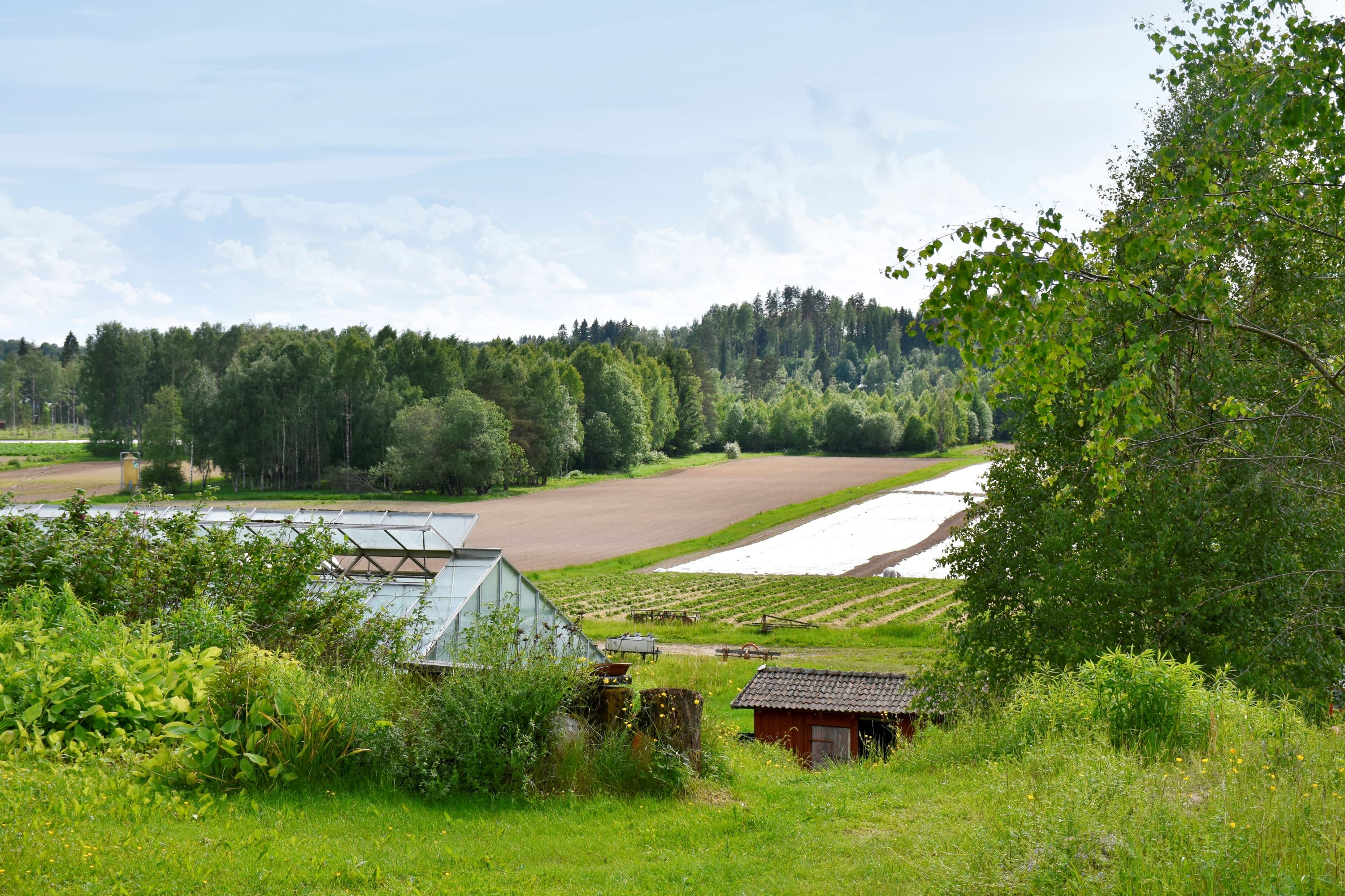 Torfolk gård i Höje Värmland