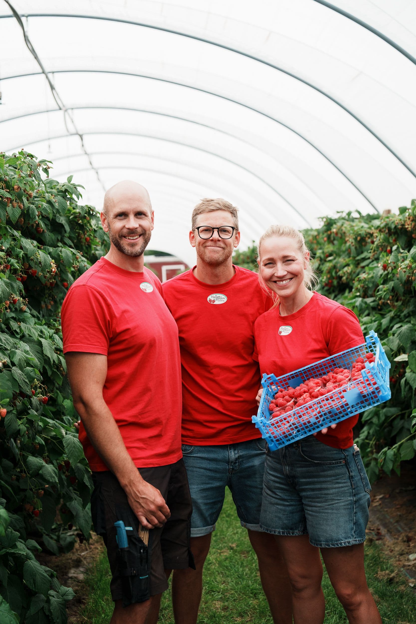 Hallongården familj som plockar hallon med en back hallon i handen