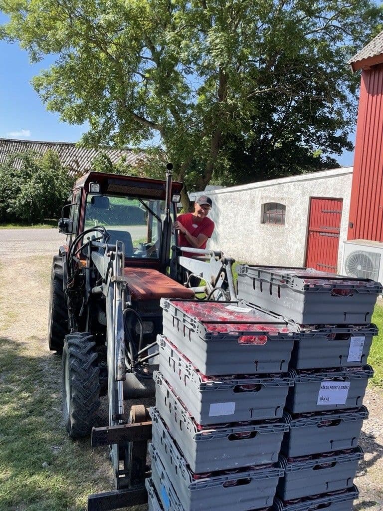 Hallongården traktor fullastad med hallon i backar