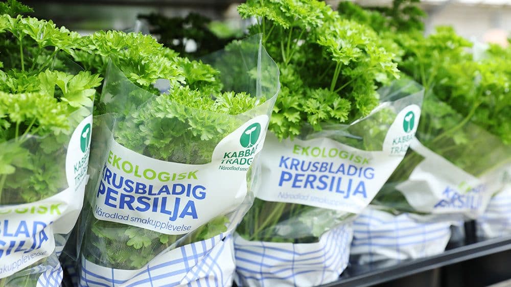 Kabbarps Trädgård bild 3