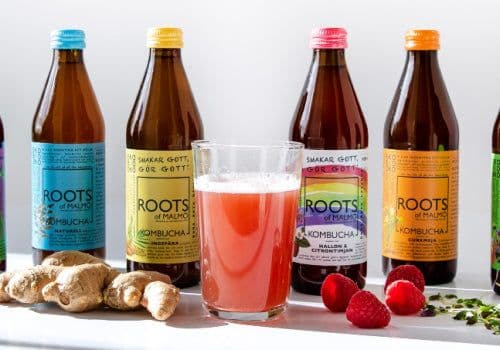 Roots of Malmö bild 3