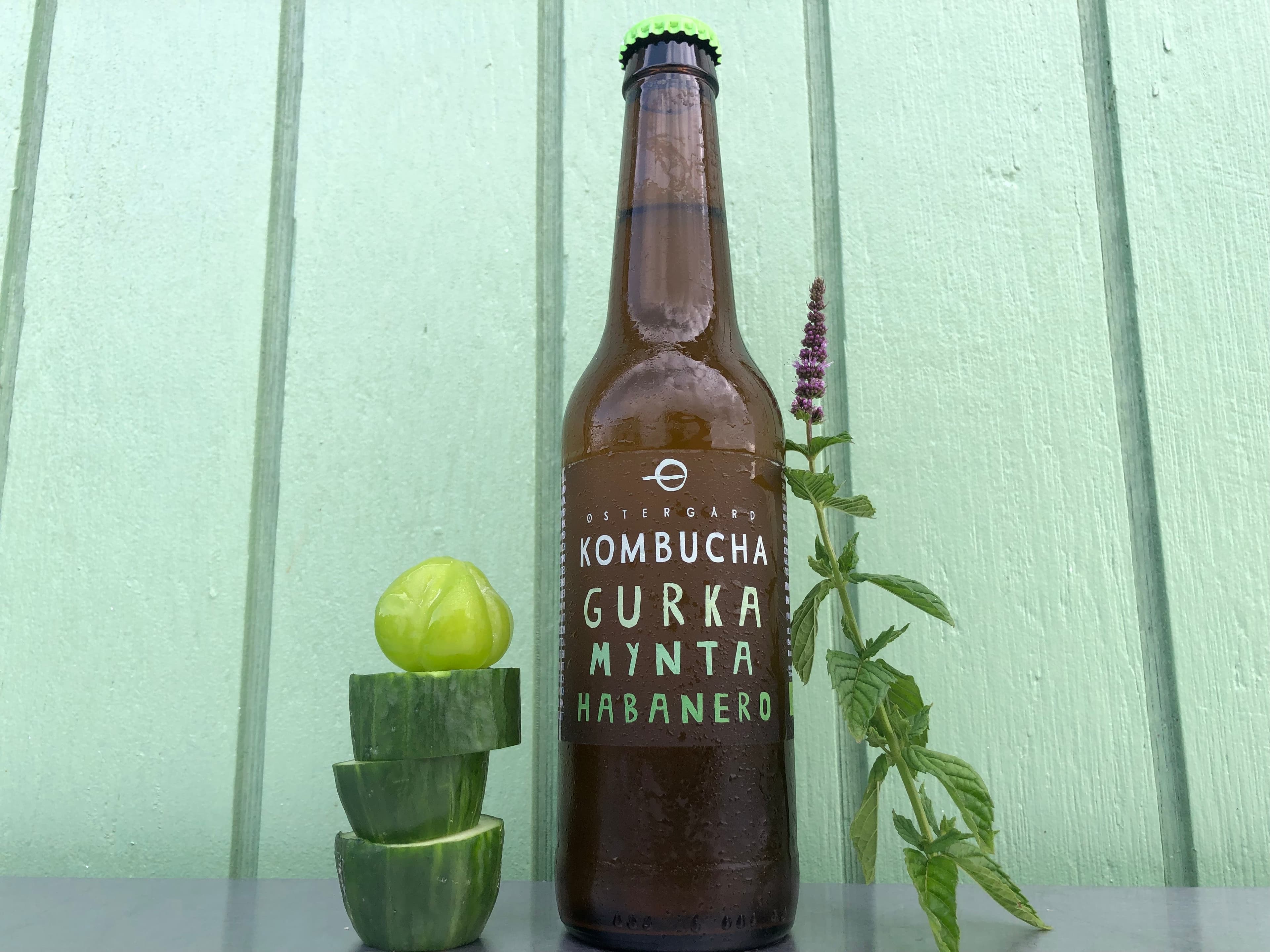 Kombucha, Gurka, Mynta & Habanero EKO 33cl