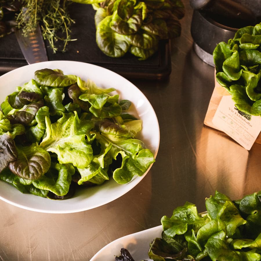 Skördepåse - Vår Stora Veckoskörd