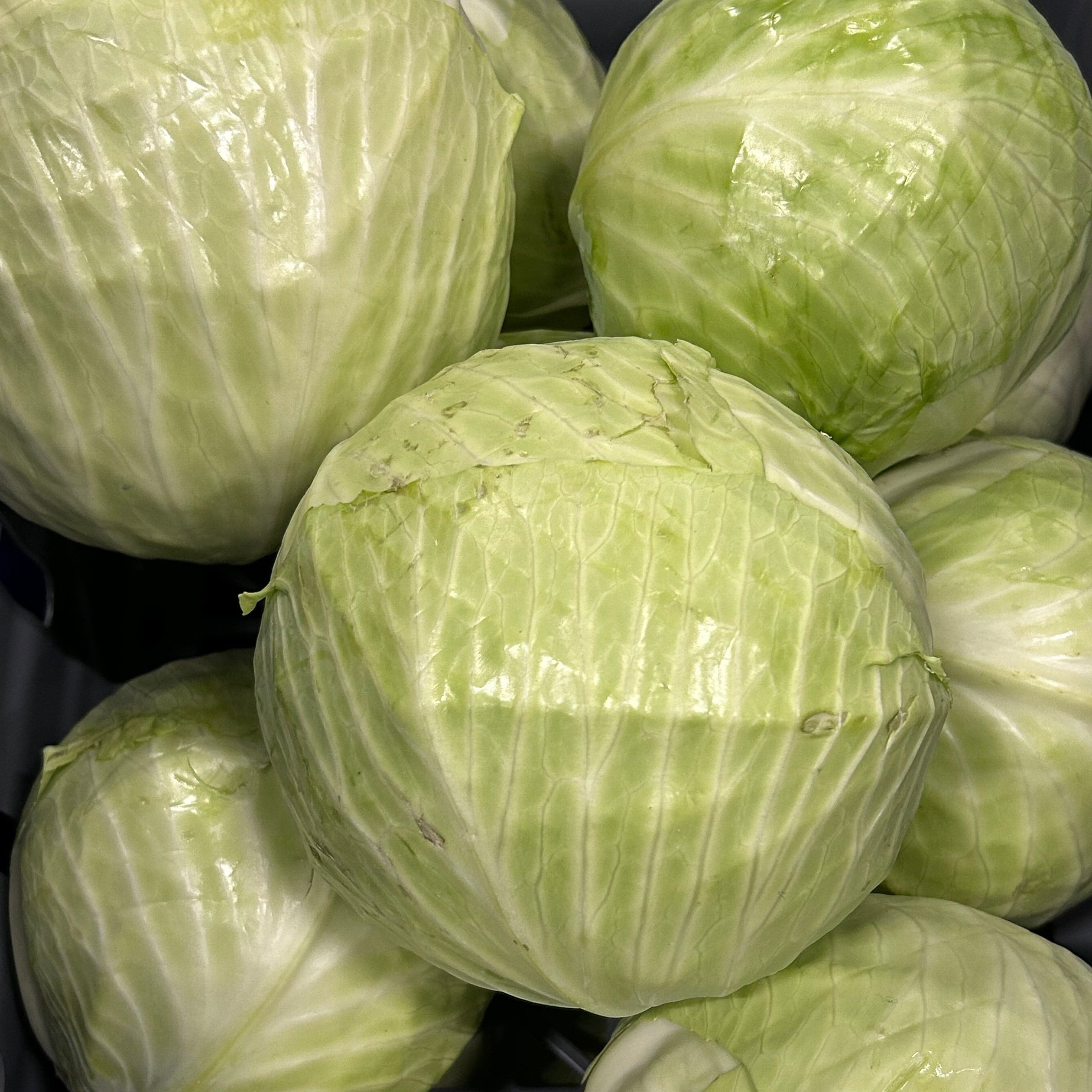 Vitkål ca 1kg - KRAV