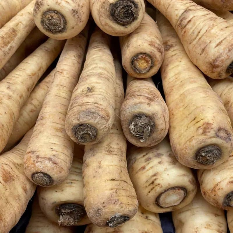 Palsternacka 1kg - Mylla Möllegårdens morötter