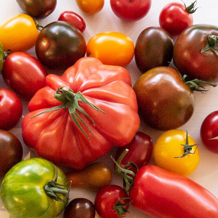 Råvaran: tomat - Mylla